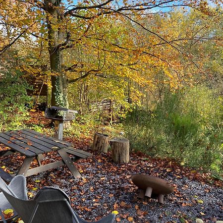 Chalet Tropical Avec Bain A Bulles - In The Woods Gesves Exteriör bild