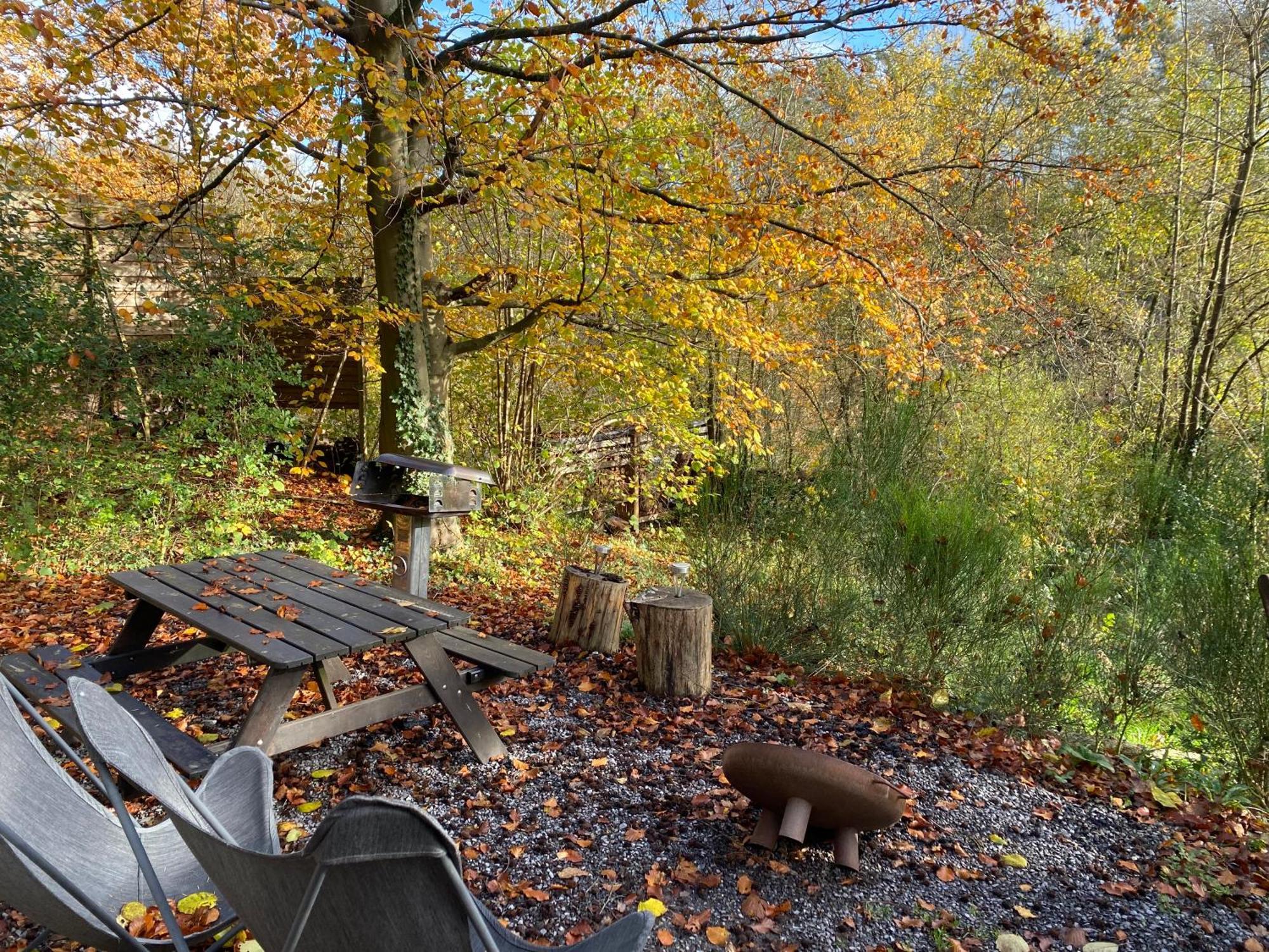 Chalet Tropical Avec Bain A Bulles - In The Woods Gesves Exteriör bild